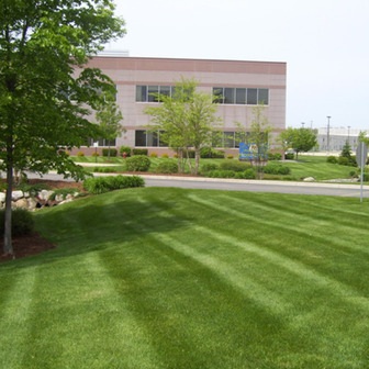 Commercial lawn and landscape services creating a pristine outdoor space