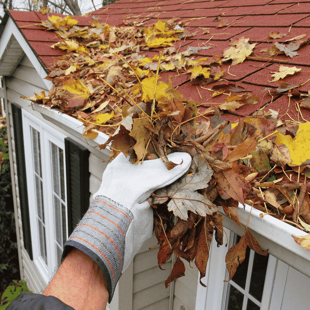 Complete Debris Removal - Gutter Cleaning